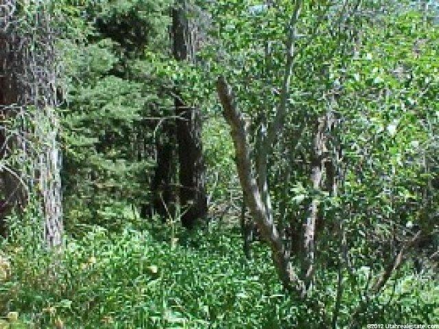 72 Beaver Spgs #72-7, Oakley, UT 84055 — photo 3