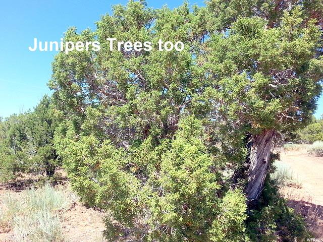Moab, UT 84532 — photo 11