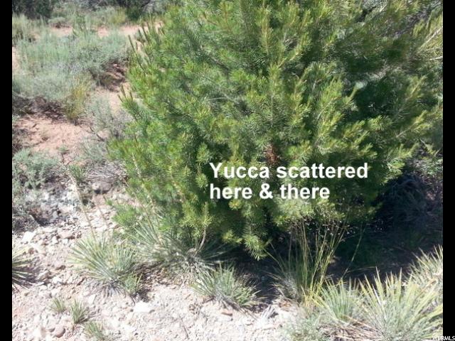 Moab, UT 84532 — photo 7