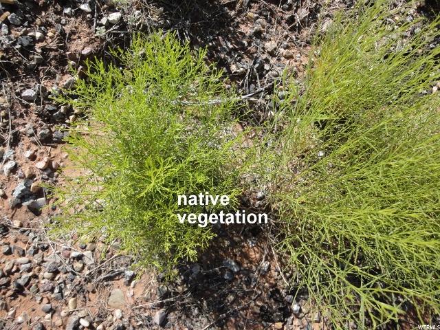 Moab, UT 84532 — photo 3