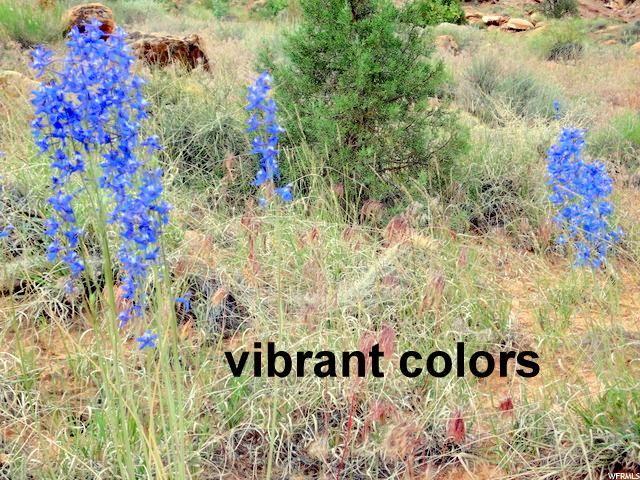 Moab, UT 84532 — photo 9