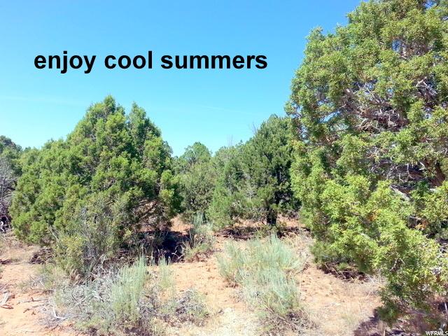 Moab, UT 84532 — photo 2