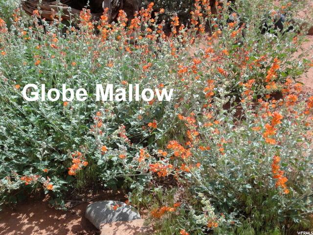 Moab, UT 84532 — photo 5