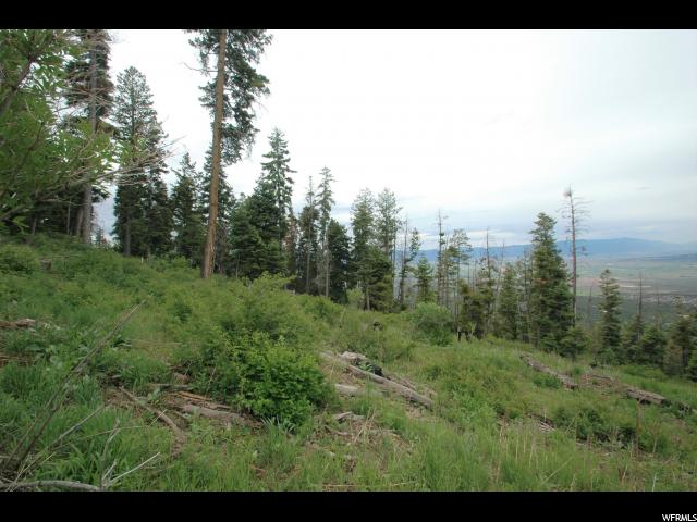 #50, Mt Pleasant, UT 84647 — photo 4