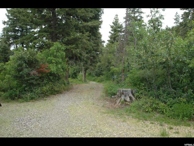 #50, Mt Pleasant, UT 84647 — photo 12