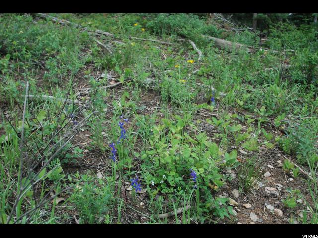 #50, Mt Pleasant, UT 84647 — photo 11