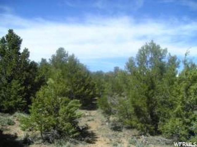 Tabiona, UT 84072 — photo 4