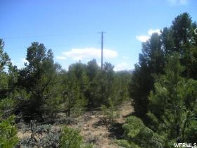 Tabiona, UT 84072 — photo 3