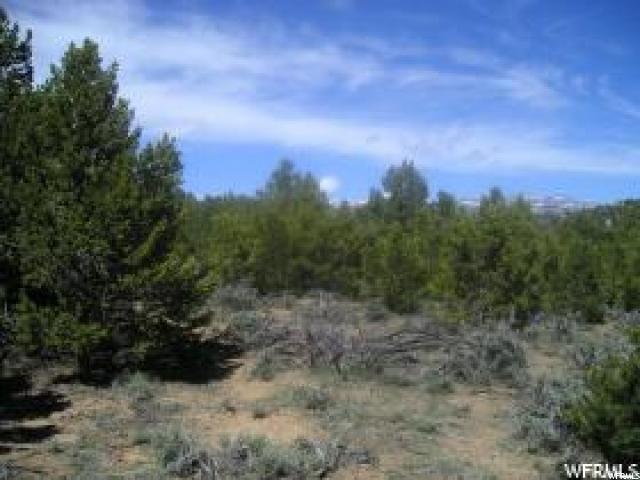 Tabiona, UT 84072 — photo 2