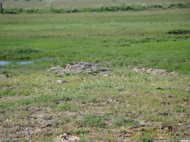 3850 W 3300 S, Hooper, UT 84401 — photo 5