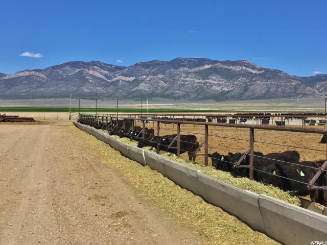250 W 15th N, Lund, NV 89317 — photo 9