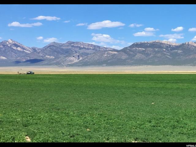 250 W 15th N, Lund, NV 89317 — photo 10