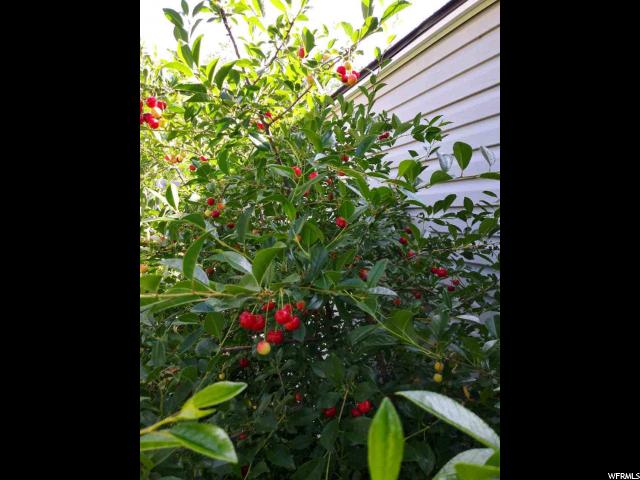 245 N Jackson Ave, Ogden, UT 84404 — photo 12