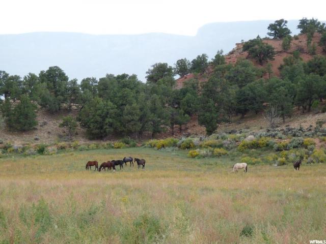 125 E Highway 12, Grover, UT 84773 — photo 4