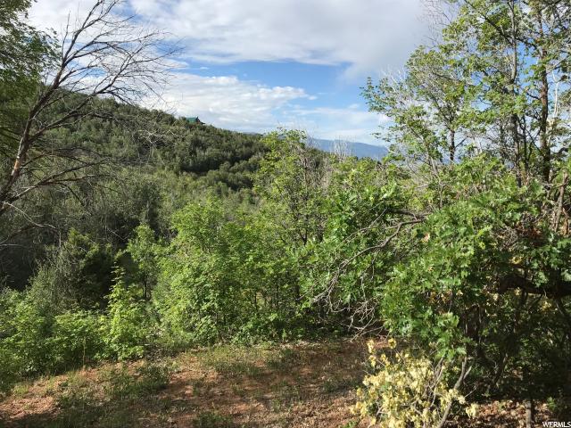 #47, Fairview, UT 84629 — photo 8