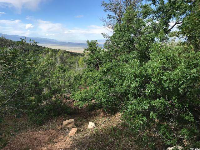 #47, Fairview, UT 84629 — photo 4