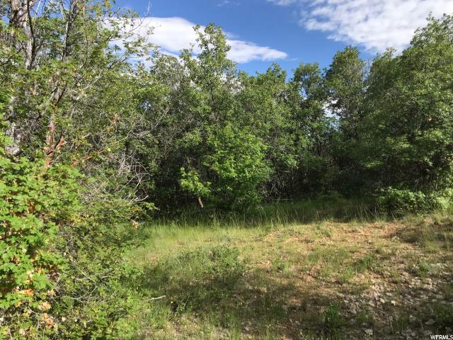 #47, Fairview, UT 84629 — photo 10