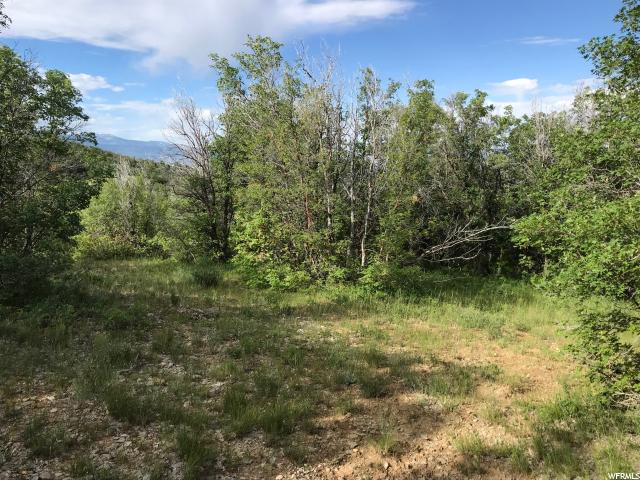 #47, Fairview, UT 84629 — photo 9