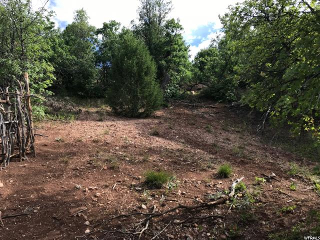 #47, Fairview, UT 84629 — photo 11