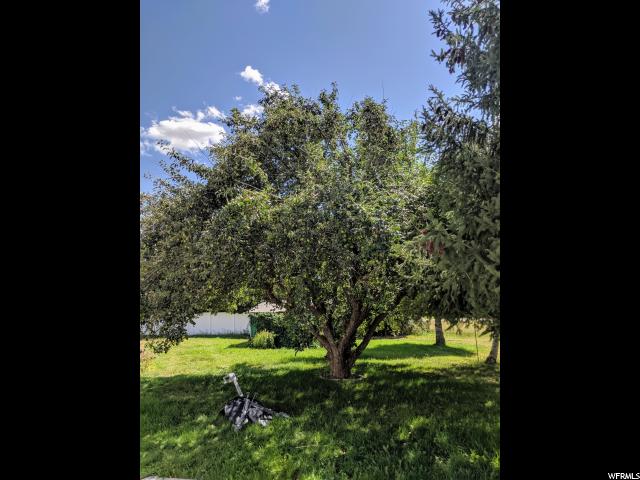 314 E 1st S, Grace, ID 83241 — photo 8