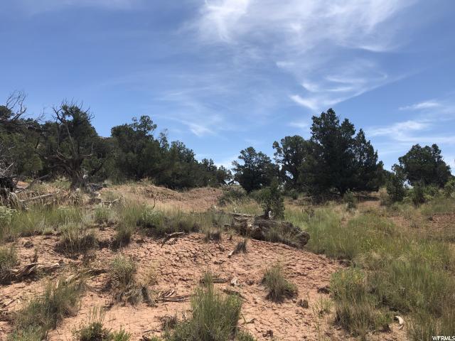 #10A, Fruitland, UT 84027 — photo 4