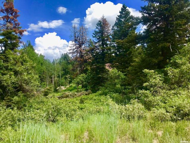2393 Pine Meadow Dr #C-59, Wanship, UT 84017 — photo 3