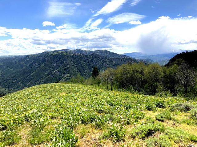 #37, Paradise, UT 84328 — photo 4