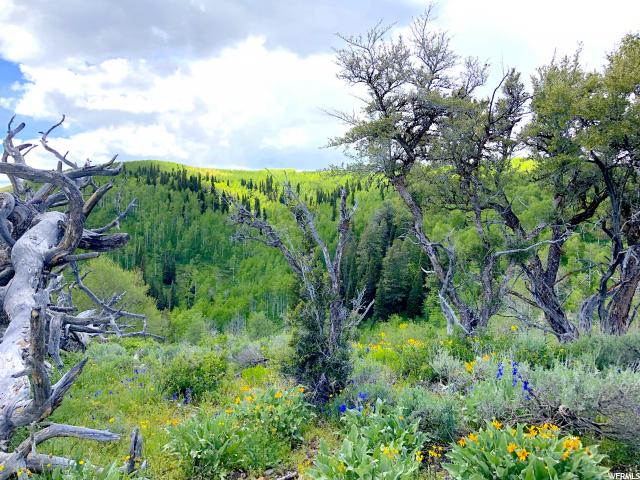 #37, Paradise, UT 84328 — photo 6