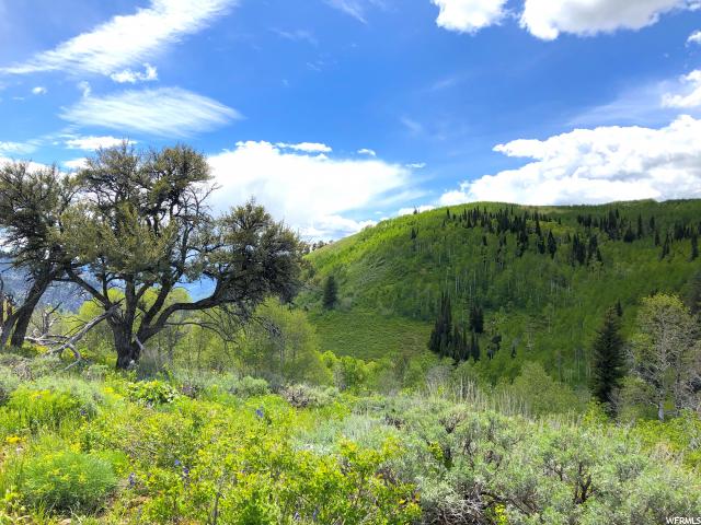#37, Paradise, UT 84328 — photo 8