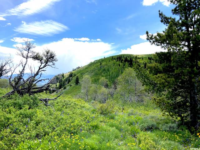 #37, Paradise, UT 84328 — photo 5
