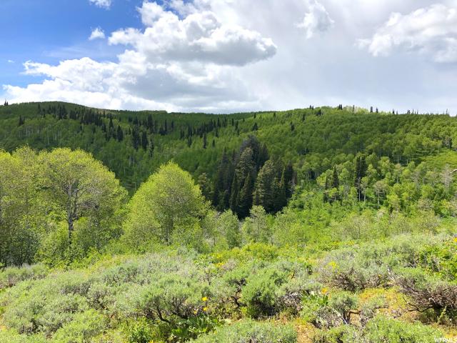 #37, Paradise, UT 84328 — photo 9