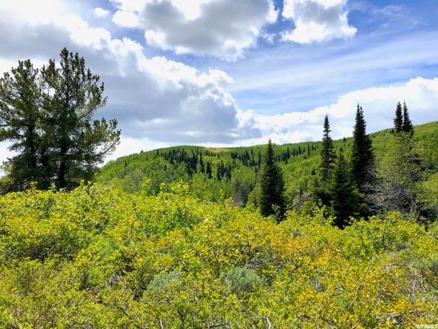 #37, Paradise, UT 84328 — photo 7