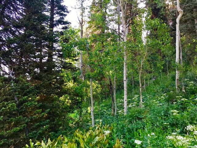 1168 S Pine Meadow Dr #C-79, Wanship, UT 84017 — photo 10