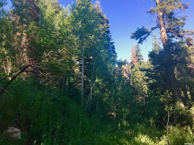 1168 S Pine Meadow Dr #C-79, Wanship, UT 84017 — photo 8