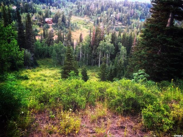 2062 Pine Loop Rd #F-31, Wanship, UT 84017 — photo 2