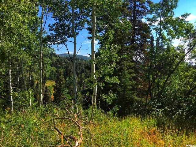 2062 Pine Loop Rd #F-31, Wanship, UT 84017 — photo 3