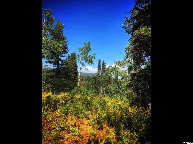 2062 Pine Loop Rd #F-31, Wanship, UT 84017 — photo 5