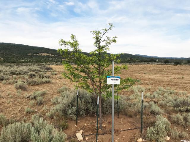 23075 N 12060 E #2, Fairview, UT 84629 — photo 9