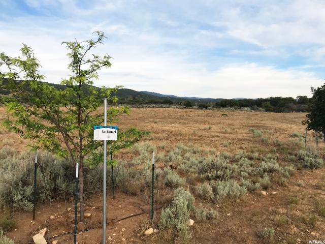 23075 N 12060 E #2, Fairview, UT 84629 — photo 10