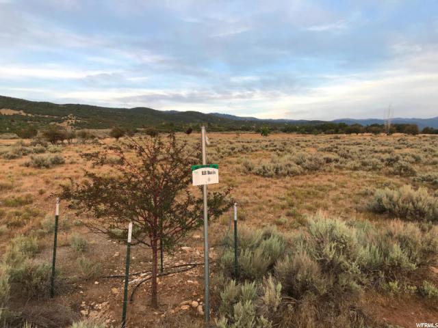 23161 N 12006 E #4, Fairview, UT 84629 — photo 7