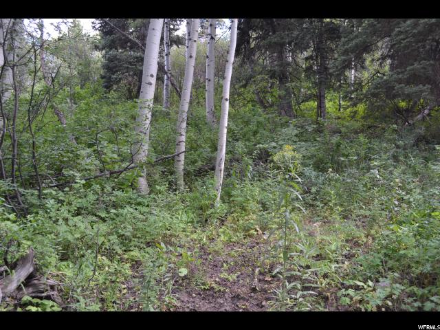 741 W Forgotten Ln #96-A, Wanship, UT 84017 — photo 3