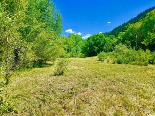 2165 E Weber Wild Rd #2, Oakley, UT 84055 — photo 5