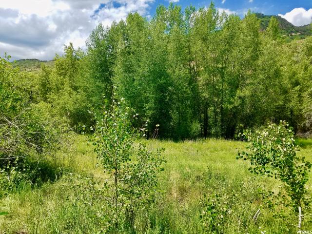 2165 E Weber Wild Rd #2, Oakley, UT 84055 — photo 8