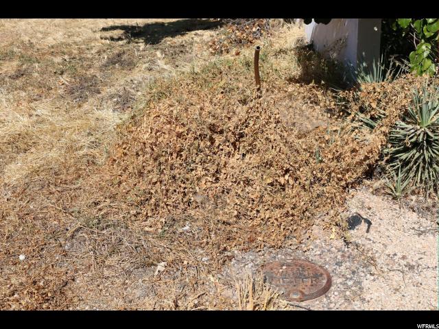 723 N 325 E #7, Hurricane, UT 84737 — photo 4