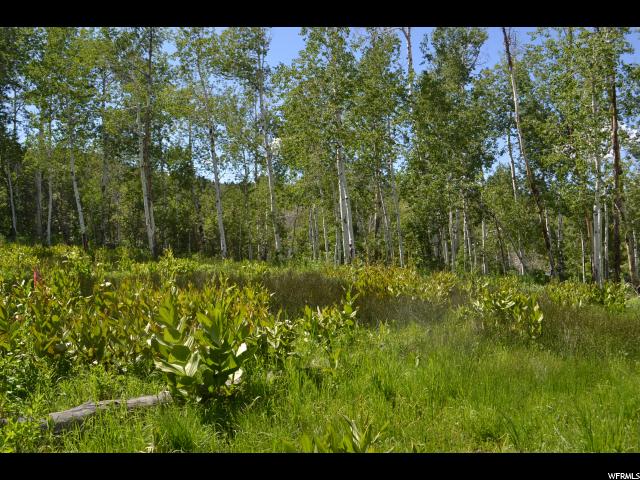 2523 Forest Circle Cir #18, Wanship, UT 84017 — photo 4