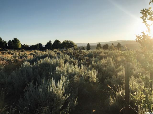 11975 E Eagle Dr ##A49, Fairview, UT 84629 — photo 10