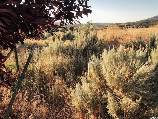 11975 E Eagle Dr ##A49, Fairview, UT 84629 — photo 9