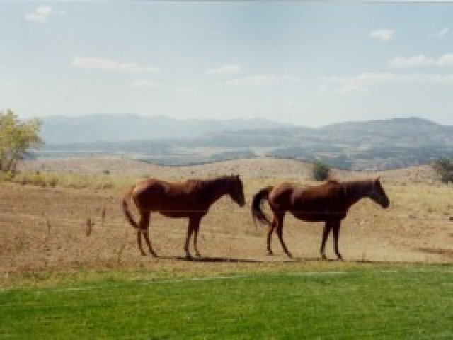 19775 N 12440 E, Mt Pleasant, UT 84647 — photo 5