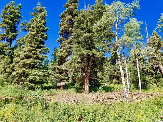 1934 Pine Meadow Dr, Wanship, UT 84017 — photo 10
