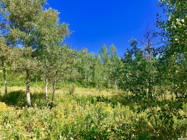 142 Pine Meadow Dr, Wanship, UT 84017 — photo 8